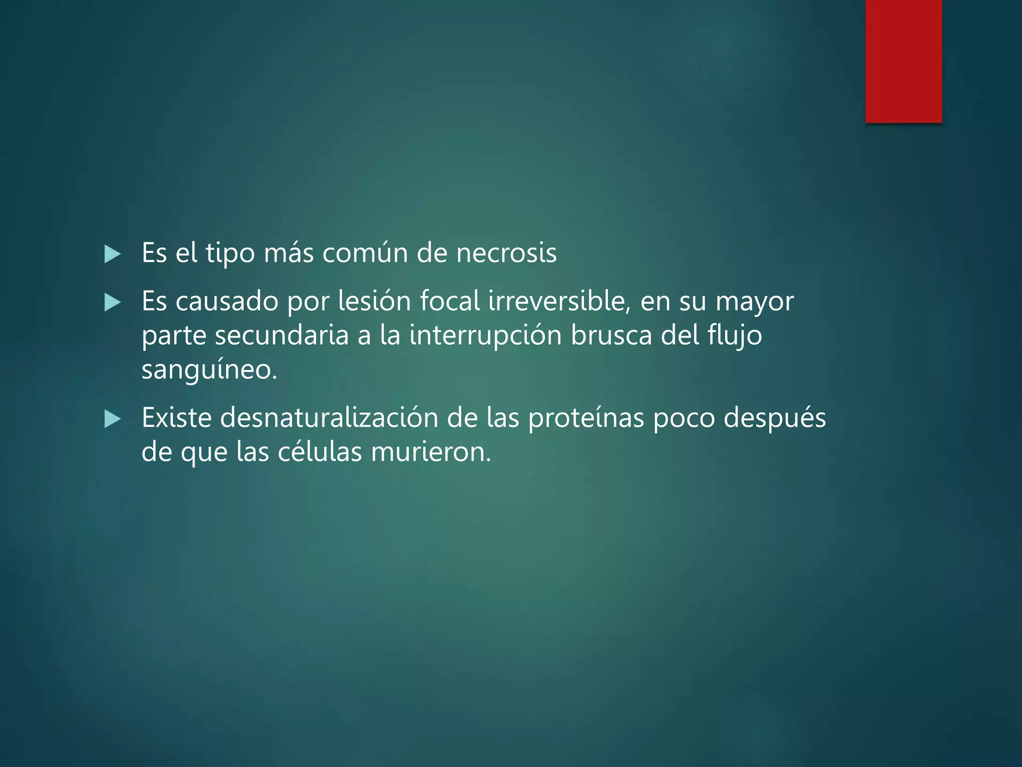 Es el tipo más común de necrosis
 Es causado por lesión focal irreversible, en su mayor
parte secundaria a la interrupción brusca del flujo
sanguíneo.
 Existe desnaturalización de las proteínas poco después
de que las células murieron.
 