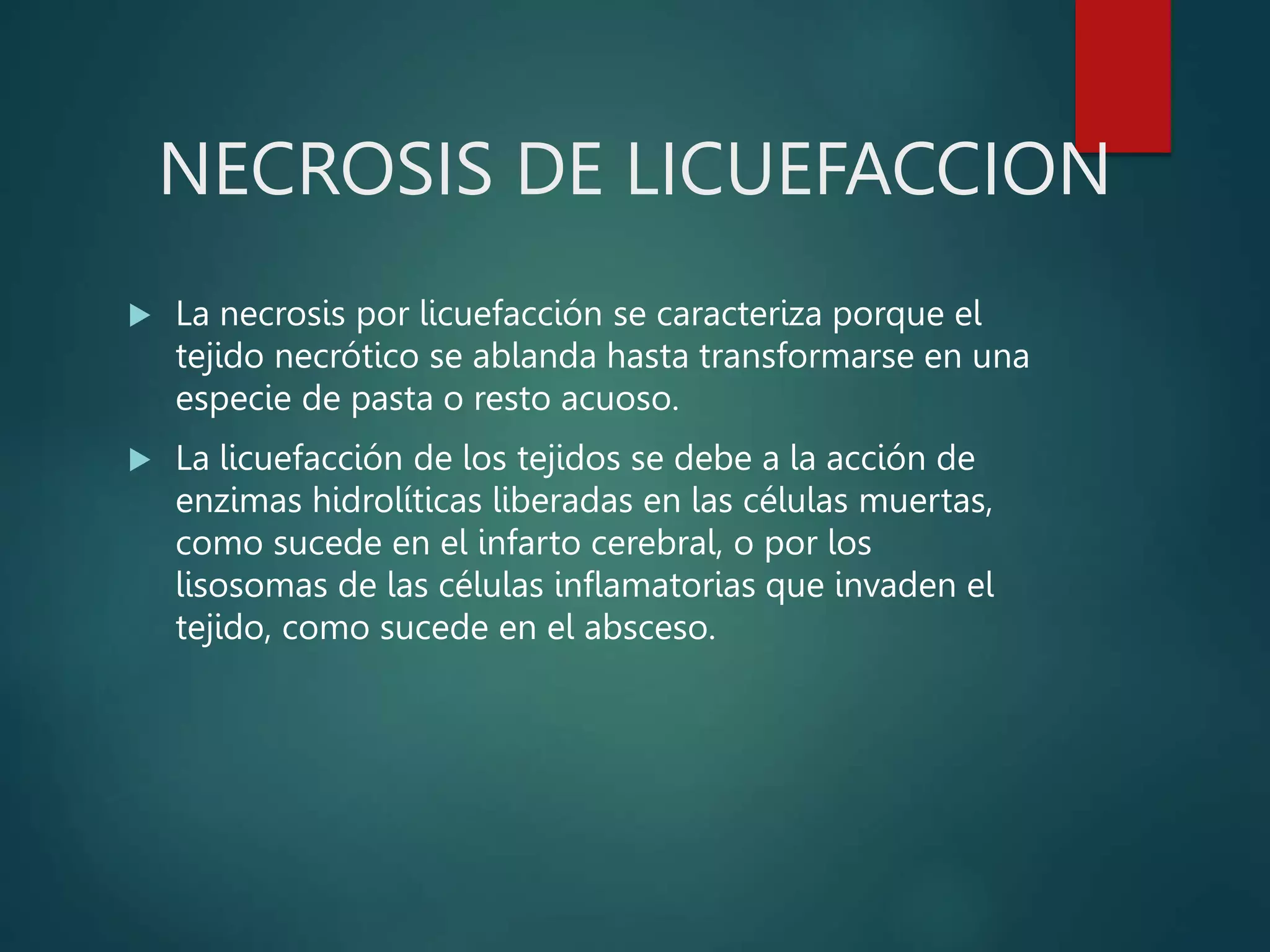 NECROSIS DE LICUEFACCION
 La necrosis por licuefacción se caracteriza porque el
tejido necrótico se ablanda hasta transformarse en una
especie de pasta o resto acuoso.
 La licuefacción de los tejidos se debe a la acción de
enzimas hidrolíticas liberadas en las células muertas,
como sucede en el infarto cerebral, o por los
lisosomas de las células inflamatorias que invaden el
tejido, como sucede en el absceso.
 