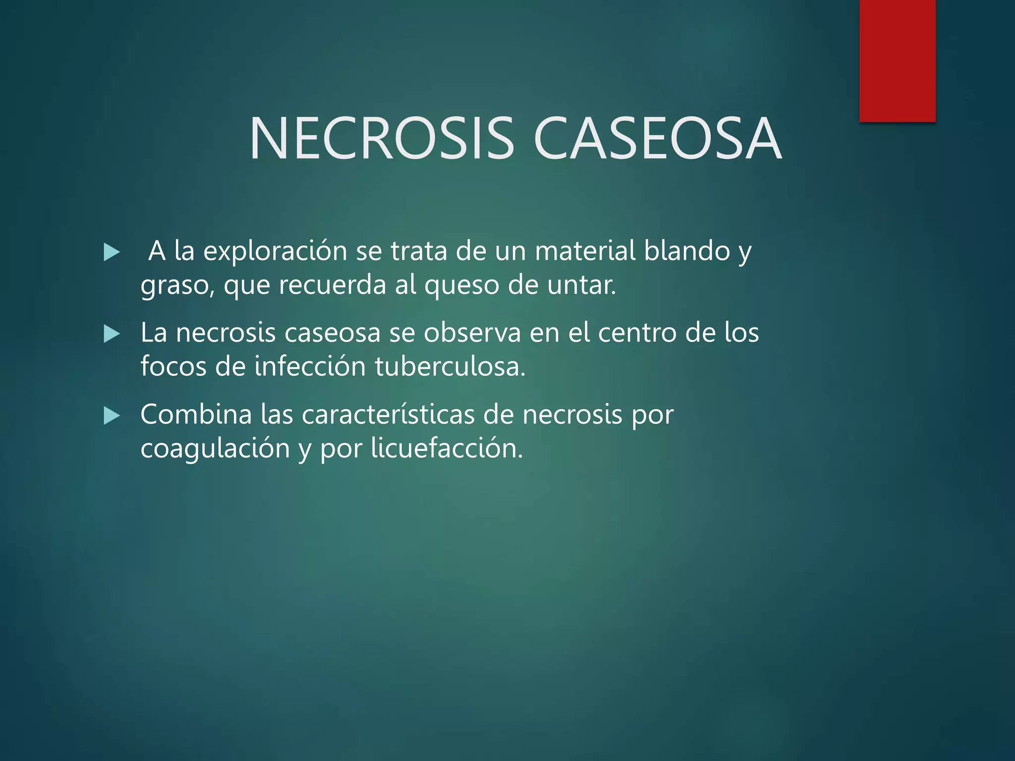 NECROSIS CASEOSA
 A la exploración se trata de un material blando y
graso, que recuerda al queso de untar.
 La necrosis caseosa se observa en el centro de los
focos de infección tuberculosa.
 Combina las características de necrosis por
coagulación y por licuefacción.
 