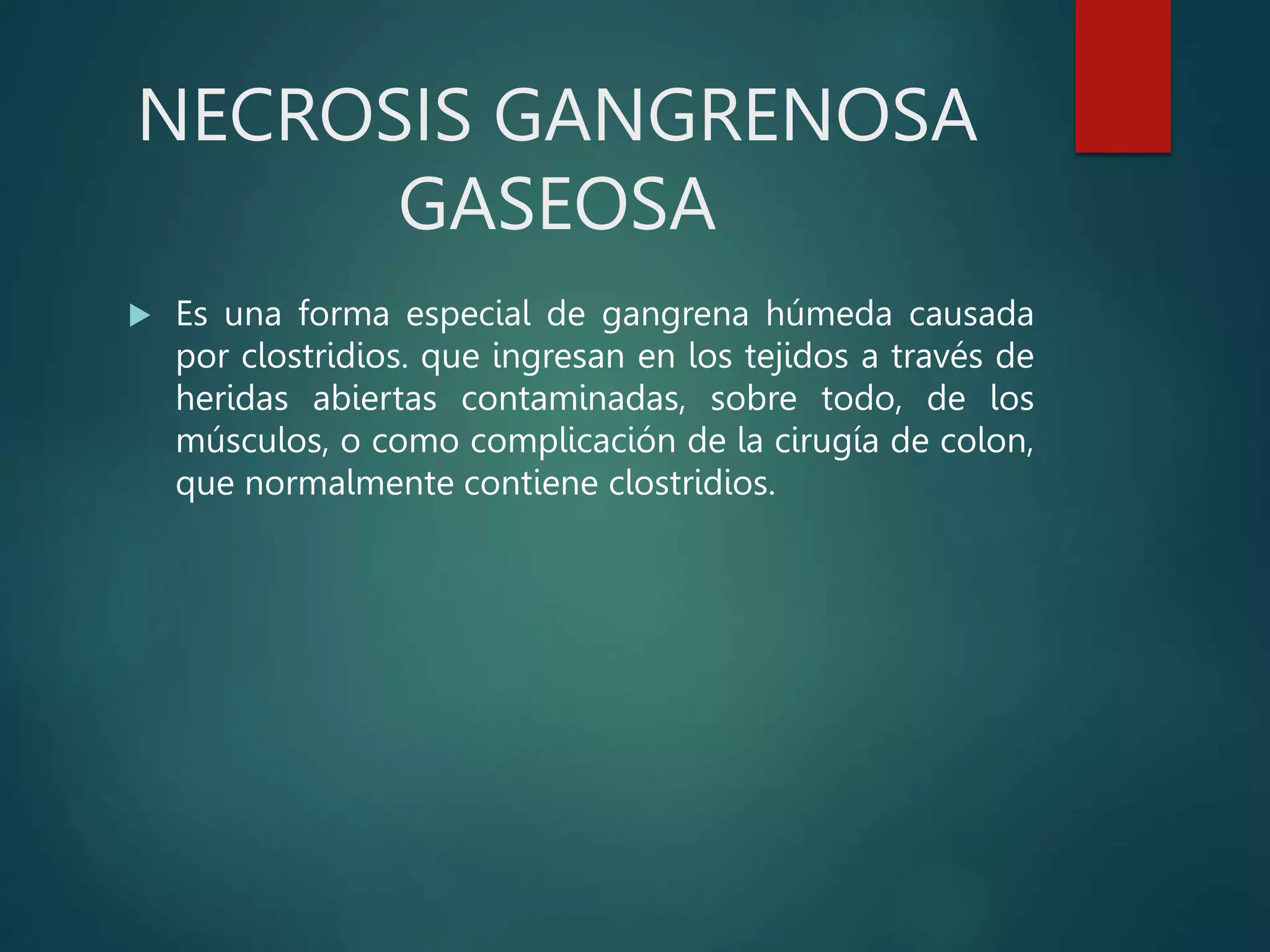 NECROSIS GANGRENOSA
GASEOSA
 Es una forma especial de gangrena húmeda causada
por clostridios. que ingresan en los tejidos a través de
heridas abiertas contaminadas, sobre todo, de los
músculos, o como complicación de la cirugía de colon,
que normalmente contiene clostridios.
 