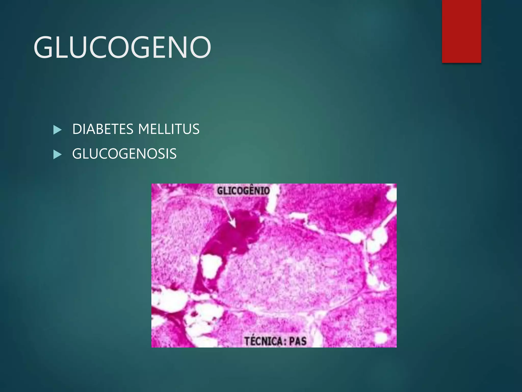 GLUCOGENO
 DIABETES MELLITUS
 GLUCOGENOSIS
 