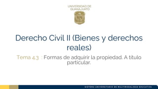 Derecho Civil II (Bienes y derechos
reales)
Tema 4.3 : Formas de adquirir la propiedad. A título
particular.
 