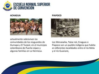 Piapoco TEMA 4. INDIGENAS ORINOQUIA-AMAZONIA.pptx