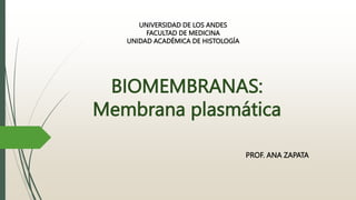 BIOMEMBRANAS:
Membrana plasmática
PROF. ANA ZAPATA
UNIVERSIDAD DE LOS ANDES
FACULTAD DE MEDICINA
UNIDAD ACADÉMICA DE HISTOLOGÍA
 