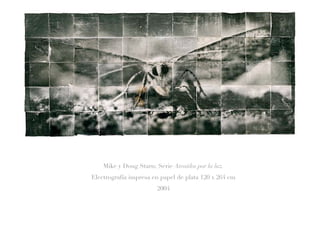 Mike y Doug Starn; Serie Atraídos por la luz.
Electrografía impresa en papel de plata 120 x 264 cm
2004
 