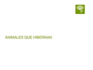 ANIMALES QUE HIBERNAN
 