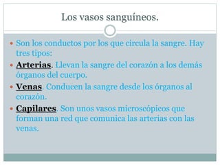 Los vasos sanguíneos.
 Son los conductos por los que circula la sangre. Hay
tres tipos:
 Arterias. Llevan la sangre del corazón a los demás
órganos del cuerpo.
 Venas. Conducen la sangre desde los órganos al
corazón.
 Capilares. Son unos vasos microscópicos que
forman una red que comunica las arterias con las
venas.
 