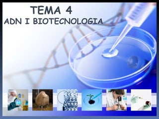 TEMA 4  ADN I BIOTECNOLOGIA TEMA 4  ADN I BIOTECNOLOGIA 