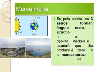 Marea morta
● Se, pola
astros
ángulo
atracció
n
debilita
atracció
n
contra, os 3
forman
recto,
a
do
So
l
a forza
de
da Lúa e
amarea que se
produce é débil: é
a marea morta.
 