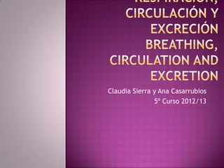 Claudia Sierra y Ana Casarrubios
               5º Curso 2012/13
 