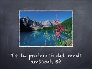 T4 la protecció del medi
       ambient. 5è
 