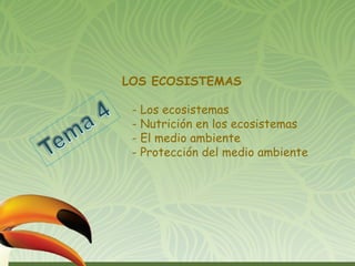 LOS ECOSISTEMAS 
- Los ecosistemas 
- Nutrición en los ecosistemas 
- El medio ambiente 
- Protección del medio ambiente 
 