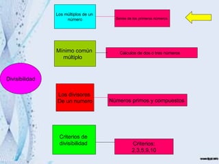 Los múltiplos de un
                     número             Series de los primeros números




                Mínimo común              Cálculos de dos o tres números
                  múltiplo


Divisibilidad

                Los divisores
                De un numero          Nùmeros primos y compuestos




                 Criterios de
                 divisibilidad                   Criterios:
                                                 2,3,5,9,10
 