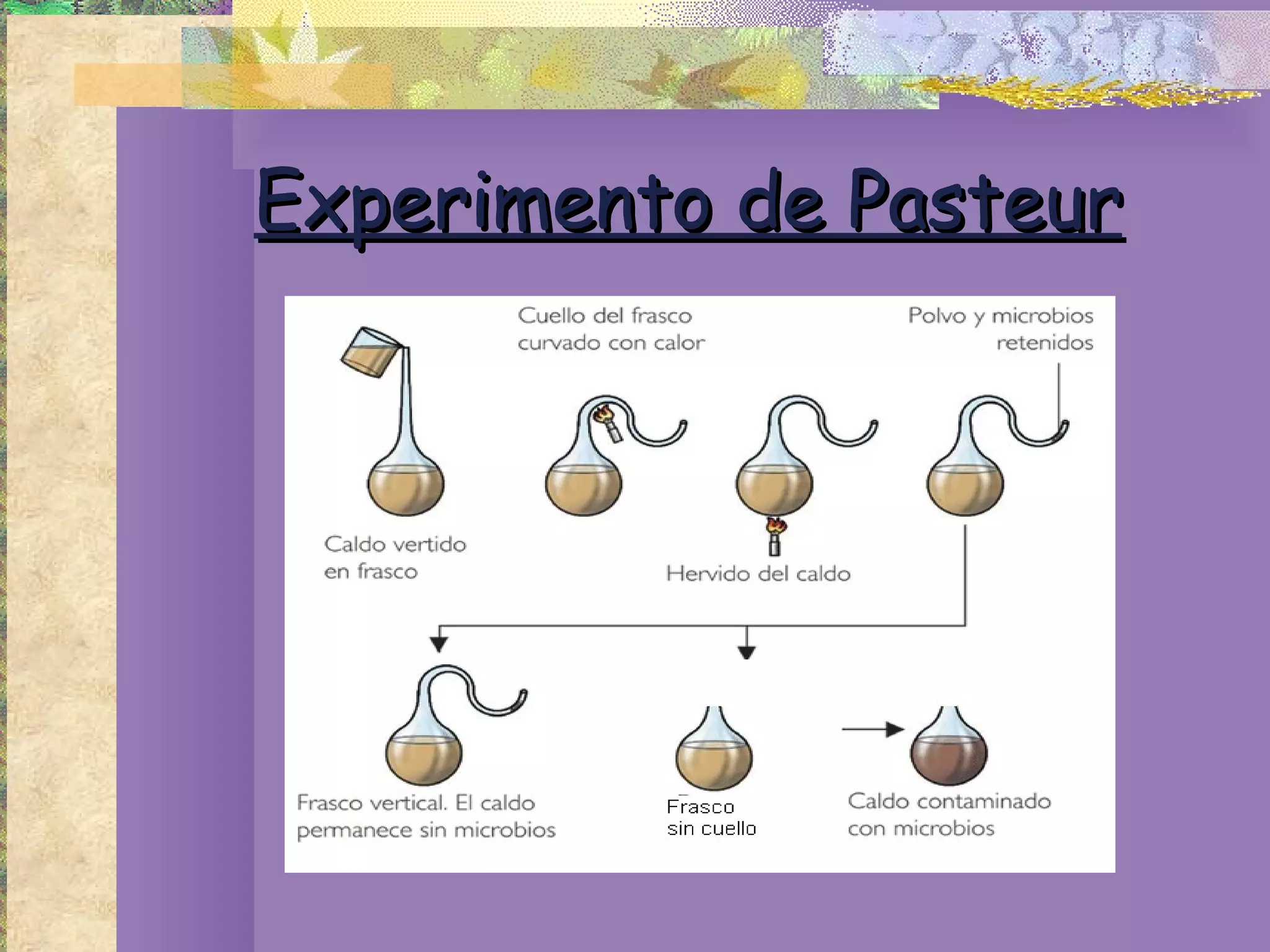Experimento de Pasteur 