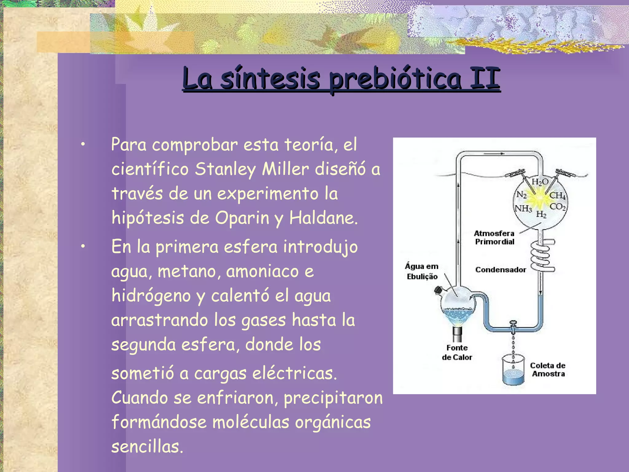 La síntesis prebiótica II Para comprobar esta teoría, el científico Stanley Miller diseñó a través de un experimento la hipótesis de Oparin y Haldane.  En la primera esfera introdujo agua, metano, amoniaco e hidrógeno y calentó el agua arrastrando los gases hasta la segunda esfera, donde los  sometió a cargas eléctricas. Cuando se enfriaron, precipitaron formándose moléculas orgánicas sencillas. 