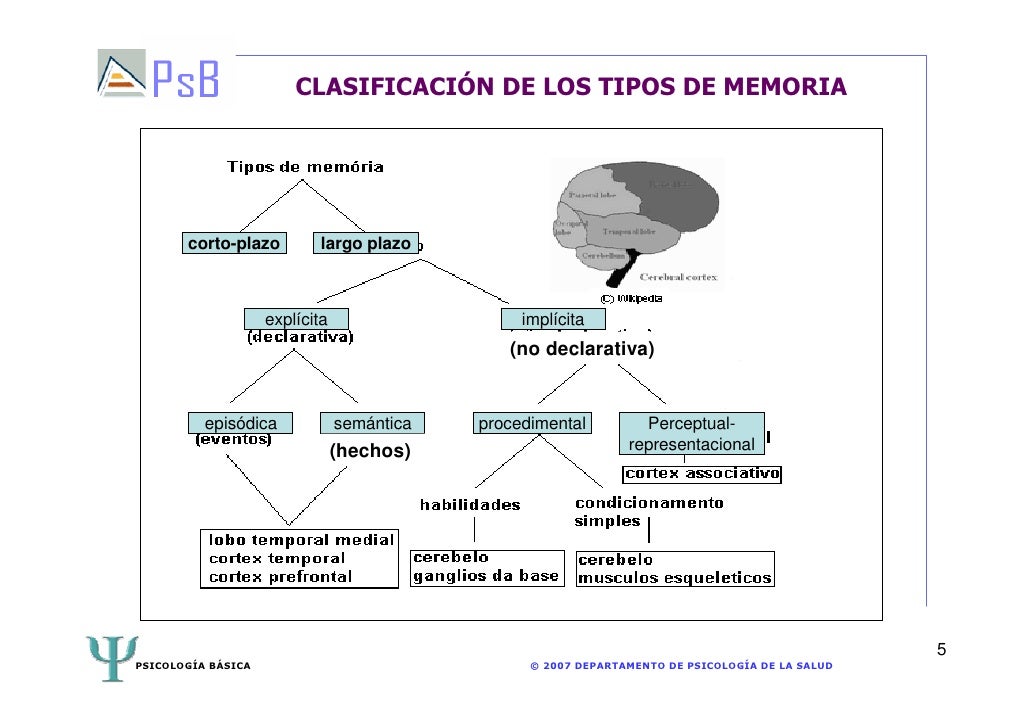 Tema 4.la memoria