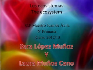 Los ecosistemas
   The ecosystem

C.P Maestro Juan de Ávila
      6º Primaria
     Curso 2012/13
 