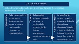 Los paisajes canarios
Se han transformado mucho por la actividad turística. Tienen relieve
montañoso y volcánico.
Poblamiento
En las zonas rurales el
poblamiento es
disperso mientras
que en la costa se
concentran las
ciudades y los
centros turísticos.
Turismo
Es la principal
actividad económica
de la isla. Ha
conllevado la
construcción de
hoteles,
apartamentos,
campings, centros de
ocio…
Otrasactividades
La superficie de
terreno cultivado es
escasa y se dedica la
plantación de
plataneras, hortalizas
y frutas tropicales. La
industria se dedica a
la transformación de
productos agrícolas.
 