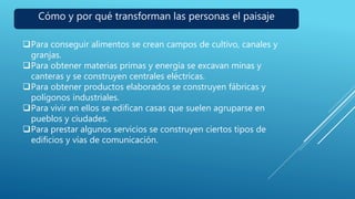 Cómo y por qué transforman las personas el paisaje
Para conseguir alimentos se crean campos de cultivo, canales y
granjas.
Para obtener materias primas y energía se excavan minas y
canteras y se construyen centrales eléctricas.
Para obtener productos elaborados se construyen fábricas y
polígonos industriales.
Para vivir en ellos se edifican casas que suelen agruparse en
pueblos y ciudades.
Para prestar algunos servicios se construyen ciertos tipos de
edificios y vías de comunicación.
 