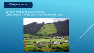 Paisaje agrario
Tienen campos de cultivo y pastos.
Hay pueblos y aldeas con granjas y canales de riego.
 