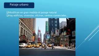 Paisaje urbano
Modifican en gran medida el paisaje natural
Hay edificios, viviendas, oficinas, centros comerciales…
 