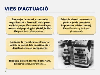 VIES D’ACTUACIÓ 
Bloquejar la síntesi, exportació, organització o formació de la paret cel·lular, específicament els enllaços creuats del peptidoglicà (NAG, NAM). Ex: penicilina, cefalosporines… 
Lesionar la membrana cel·lular al inhibir la síntesi dels constituents o dissolent els seus components 
Bloqueig dels ribosomes bacterians. Ex: tetraciclines, eritromicina… 
Evitar la síntesi de material genètic (o de proteïnes importants - defectuoses). Ex: sulfamides, quinolones (frameshift!)  