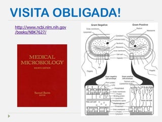 VISITA OBLIGADA! 
http://www.ncbi.nlm.nih.gov/books/NBK7627/  