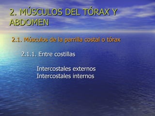 2. MÚSCULOS DEL TÓRAX Y ABDOMEN 2.1. Músculos de la parrilla costal o tórax 2.1.1. Entre costillas Intercostales externos Intercostales internos 