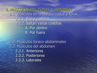 2. MÚSCULOS DEL TÓRAX Y ABDOMEN 2.1. Músculos de la parrilla costal o tórax 2.1.1. Entre costillas 2.1.2. Saltan varias costillas A. Por dentro B. Por fuera 2.2. Músculos toraco-abdominales 2.3. Músculos del abdomen 2.3.1. Anteriores 2.3.2. Posteriores 2.3.3. Laterales 