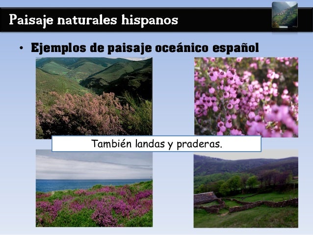 Paisaje naturales hispanos
• Ejemplos de paisaje oceánico español
También landas y praderas.
 
