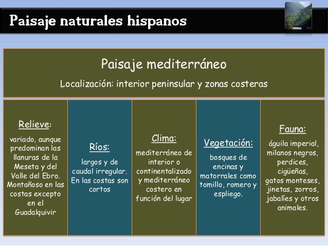 Paisaje naturales hispanos
Paisaje mediterráneo
Localización: interior peninsular y zonas costeras
Relieve:
variado, aunqu...