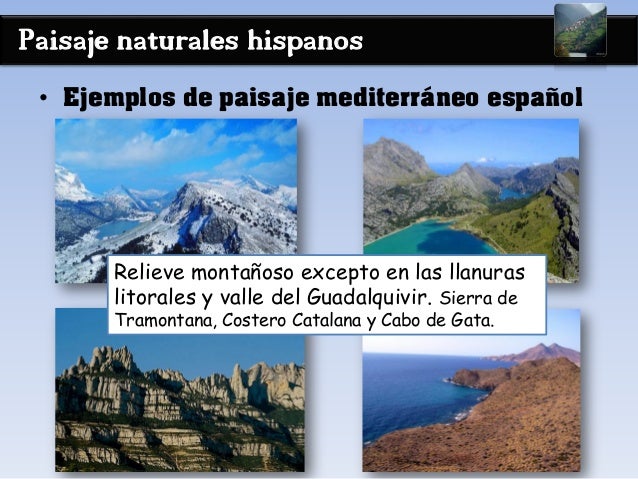 Paisaje naturales hispanos
• Ejemplos de paisaje mediterráneo español
Relieve montañoso excepto en las llanuras
litorales ...