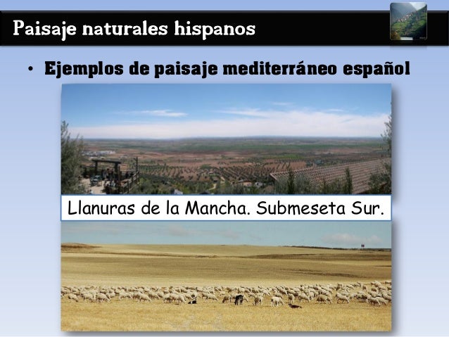 Paisaje naturales hispanos
• Ejemplos de paisaje mediterráneo español
Llanuras de la Mancha. Submeseta Sur.
 