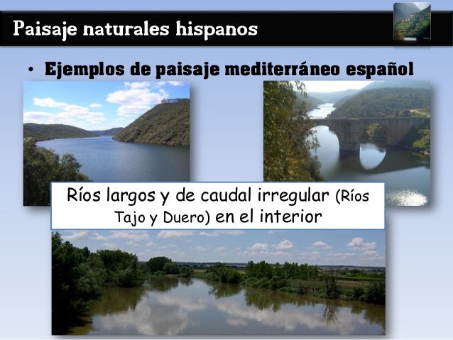 Paisaje naturales hispanos
• Ejemplos de paisaje mediterráneo español
Ríos largos y de caudal irregular (Ríos
Tajo y Duero...