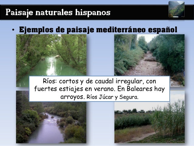 Paisaje naturales hispanos
• Ejemplos de paisaje mediterráneo español
Ríos: cortos y de caudal irregular, con
fuertes esti...