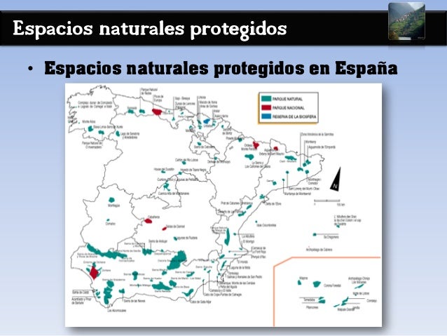 Espacios naturales protegidos
• Espacios naturales protegidos en España
 