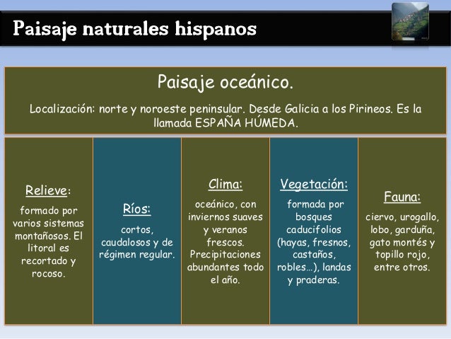 Paisaje naturales hispanos
Paisaje oceánico.
Localización: norte y noroeste peninsular. Desde Galicia a los Pirineos. Es l...