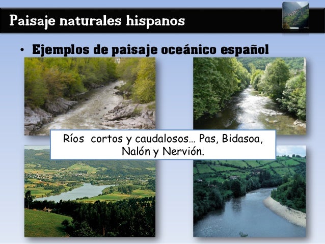 Paisaje naturales hispanos
• Ejemplos de paisaje oceánico español
Ríos cortos y caudalosos… Pas, Bidasoa,
Nalón y Nervión.
 