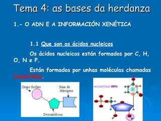 Tema 4: as bases da herdanza 1.- O ADN E A INFORMACIÓN XENÉTICA 1.1  Que son os ácidos nucleicos Os ácidos nucleicos están formados por C, H, O, N e P. Están formados por unhas moléculas chamadas  nucleótidos . 