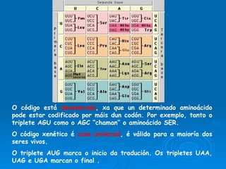O código está  dexenerado , xa que un determinado aminoácido pode estar codificado por máis dun codón. Por exemplo, tanto o triplete AGU como o AGC “chaman” o aminoácido SER. O código xenético é  case universal , é válido para a maioría dos seres vivos. O triplete AUG marca o inicio da tradución. Os tripletes UAA, UAG e UGA marcan o final . 