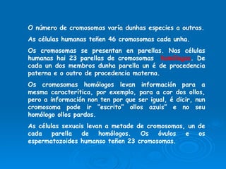 O número de cromosomas varía dunhas especies a outras. As células humanas teñen 46 cromosomas cada unha. Os cromosomas se presentan en parellas. Nas células humanas hai 23 parellas de cromosomas  homólogos . De cada un dos membros dunha parella un é de procedencia paterna e o outro de procedencia materna. Os cromosomas homólogos levan información para a mesma caracterítica, por exemplo, para a cor dos ollos, pero a información non ten por que ser igual, é dicir, nun cromosoma pode ir “escrito” ollos azuis” e no seu homólogo ollos pardos. As células sexuais levan a metade de cromosomas, un de cada parella de homólogos. Os óvulos e os espermatozoides humanso teñen 23 cromosomas. 