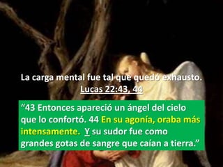 La carga mental fue tal que quedó exhausto.
              Lucas 22:43, 44
“43 Entonces apareció un ángel del cielo
que lo confortó. 44 En su agonía, oraba más
intensamente. Y su sudor fue como
grandes gotas de sangre que caían a tierra.”
 