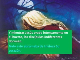 Y mientras Jesús oraba intensamente en
el huerto, los discípulos indiferentes
dormían.
Todo esto abrumaba de tristeza Su
corazón.
 