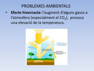 PROBLEMES AMBIENTALS
• Efecte hivernacle: l’augment d’alguns gasos a
l’atmosfera (especialment el CO2), provoca
una elevació de la temperatura.

 