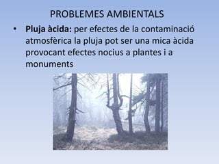 PROBLEMES AMBIENTALS
• Pluja àcida: per efectes de la contaminació
atmosfèrica la pluja pot ser una mica àcida
provocant efectes nocius a plantes i a
monuments

 