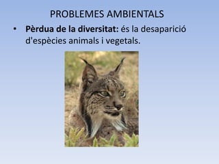 PROBLEMES AMBIENTALS
• Pèrdua de la diversitat: és la desaparició
d'espècies animals i vegetals.

 
