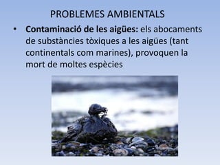 PROBLEMES AMBIENTALS
• Contaminació de les aigües: els abocaments
de substàncies tòxiques a les aigües (tant
continentals com marines), provoquen la
mort de moltes espècies

 