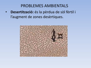 PROBLEMES AMBIENTALS
• Desertització: és la pèrdua de sòl fèrtil i
l’augment de zones desèrtiques.

 