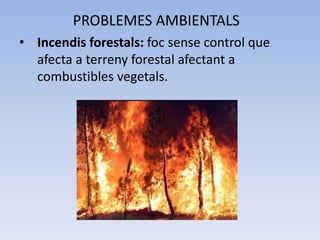 PROBLEMES AMBIENTALS
• Incendis forestals: foc sense control que
afecta a terreny forestal afectant a
combustibles vegetals.

 