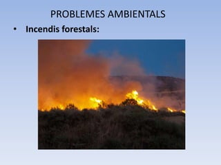 PROBLEMES AMBIENTALS
• Incendis forestals:

 